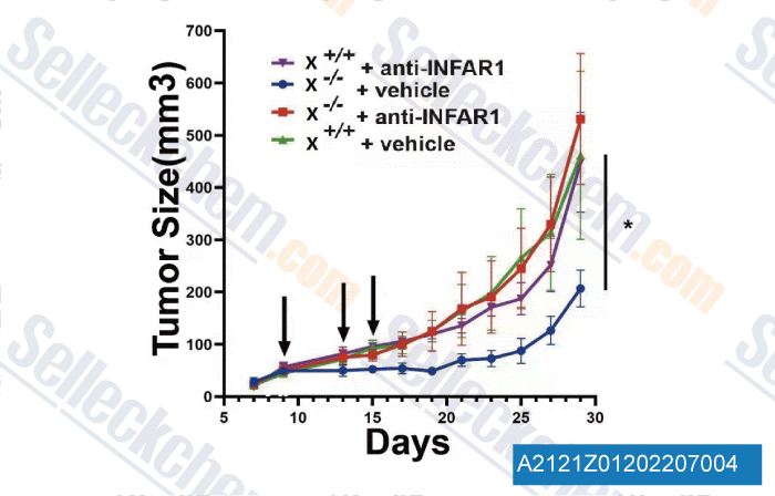 Verified customer review of Anti-mouse IFNAR-1-InVivo